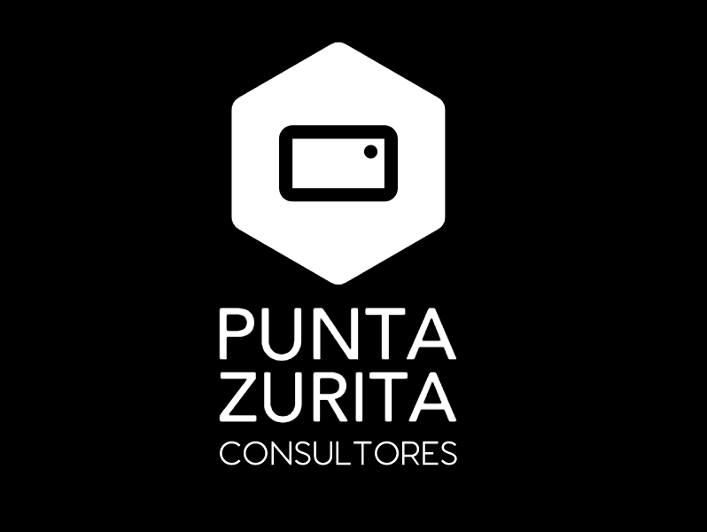 punta-zurita-consultores